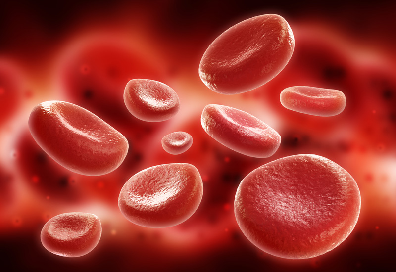 Hematology